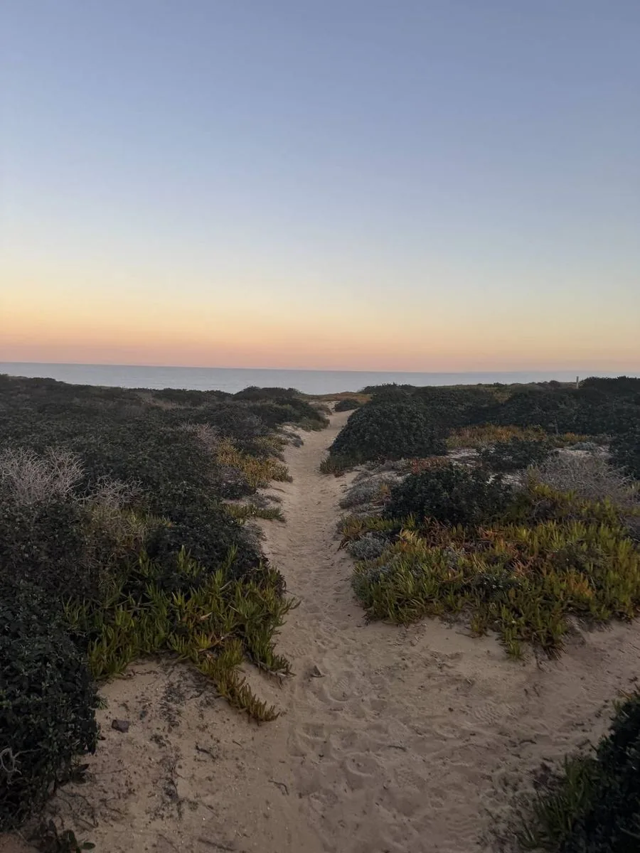 Path to the beach at dusk